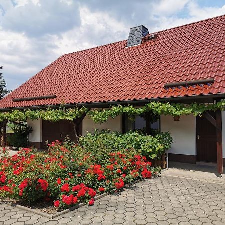 Ferienhaus Rosenhof Glaubitz 외부 사진