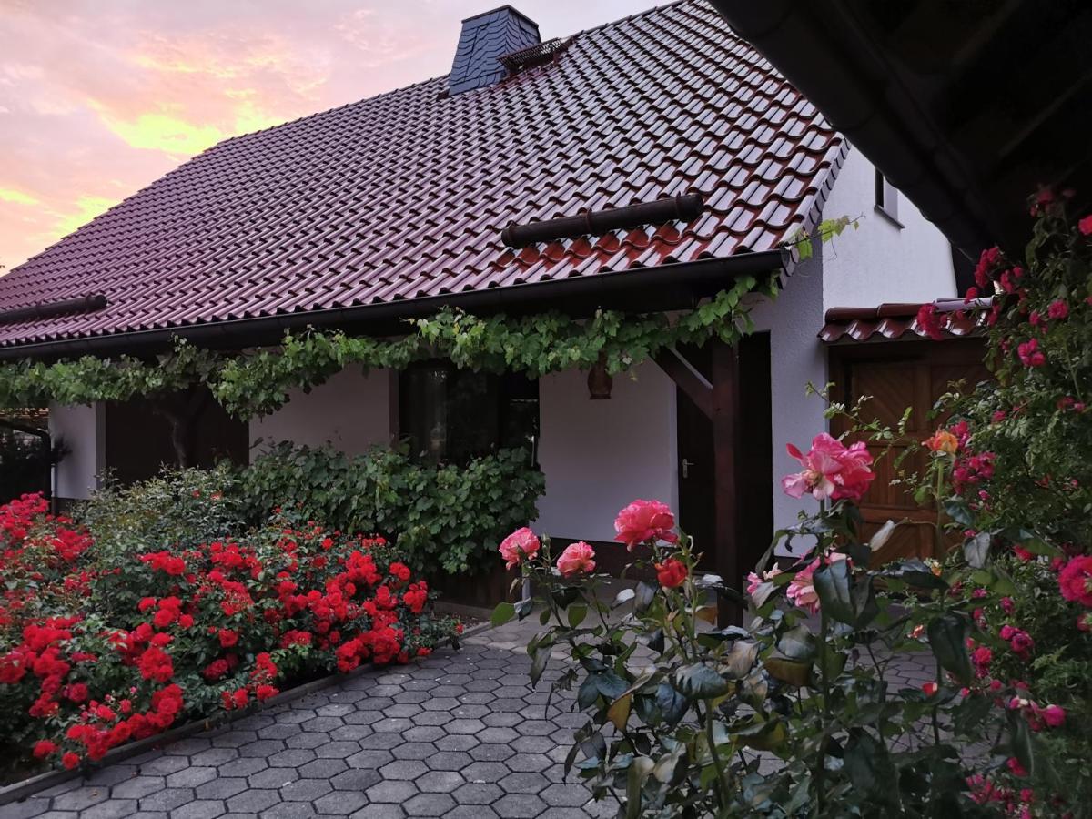 Ferienhaus Rosenhof Glaubitz 외부 사진