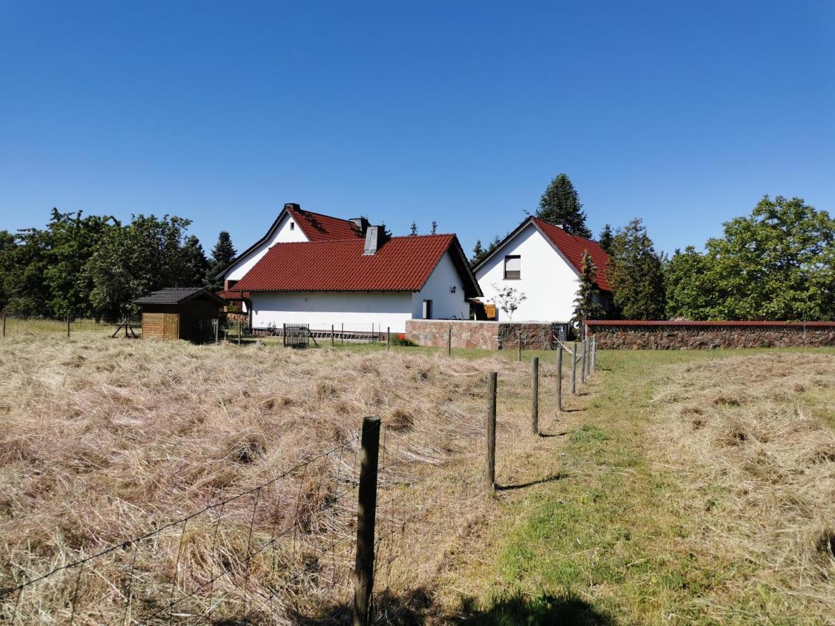 Ferienhaus Rosenhof Glaubitz 외부 사진